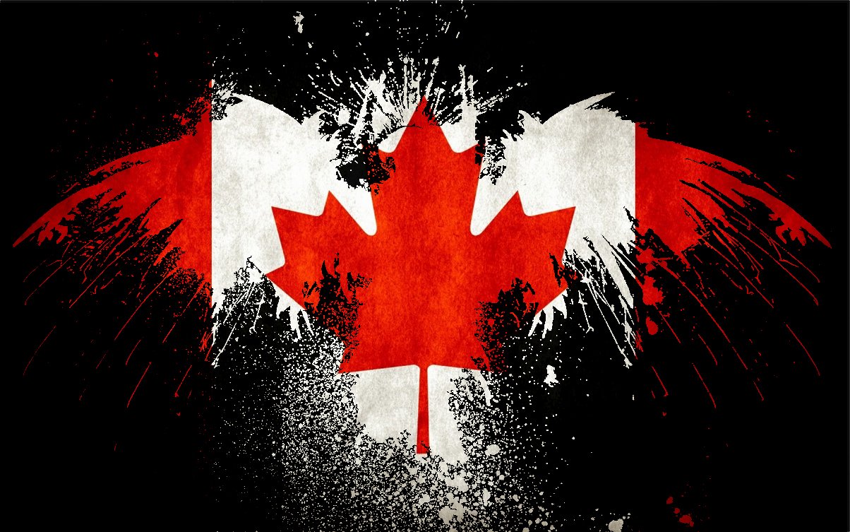 A stylized illustration featuring the flag of Canada, adorned with splashes of red and black, showcasing a maple leaf at the center along with wings extending from it.