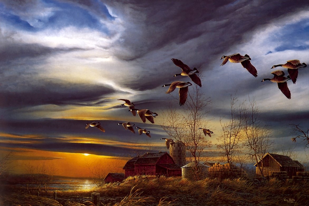 geese-flying-south-image-abyss