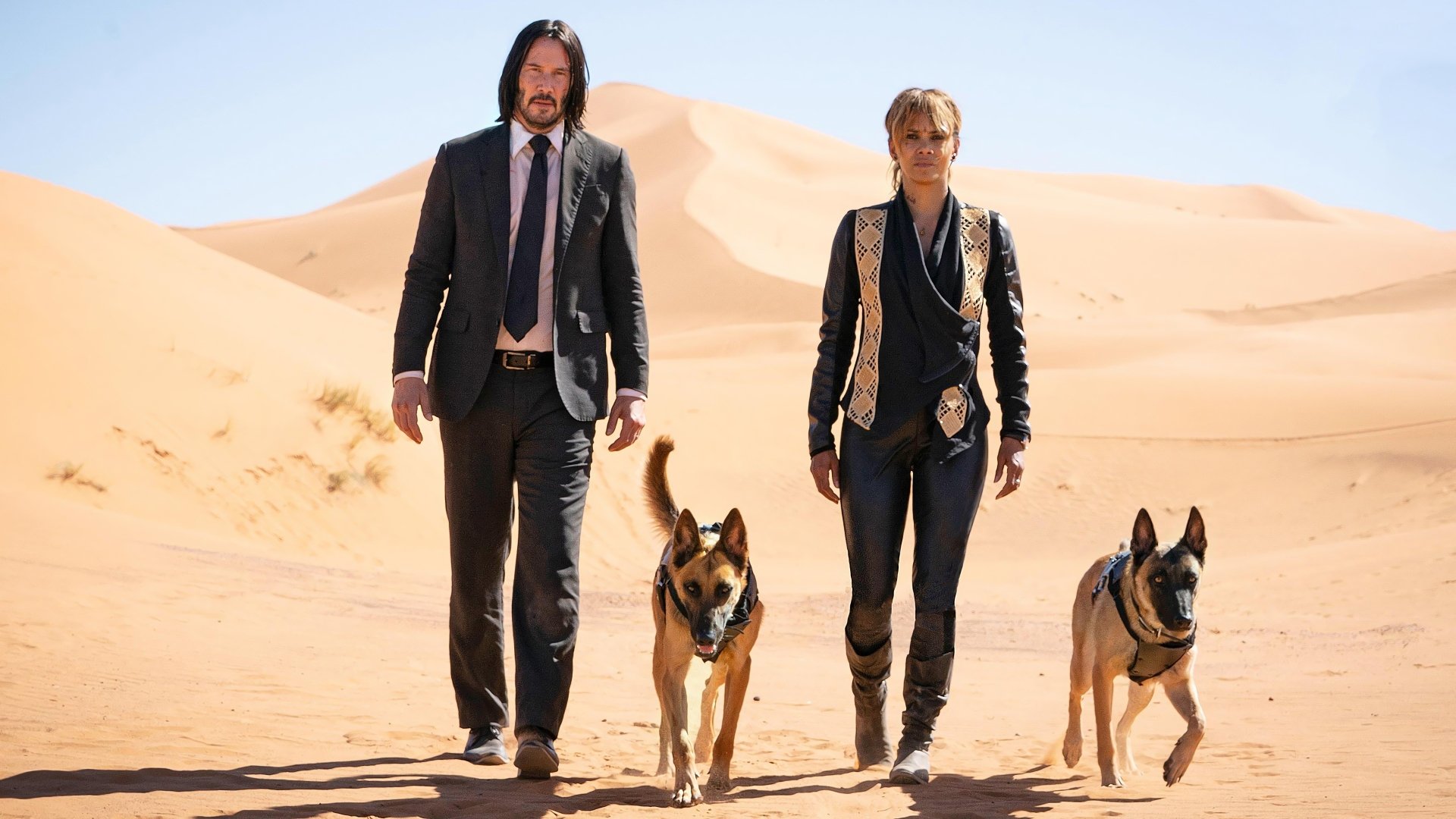 movie John Wick: Chapter 3 - Parabellum Image