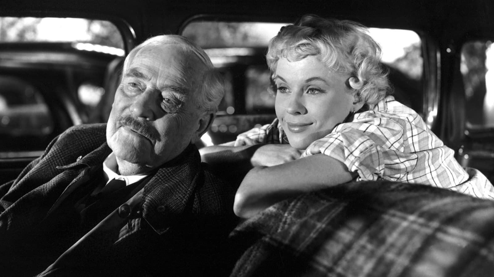 movie Wild Strawberries Image
