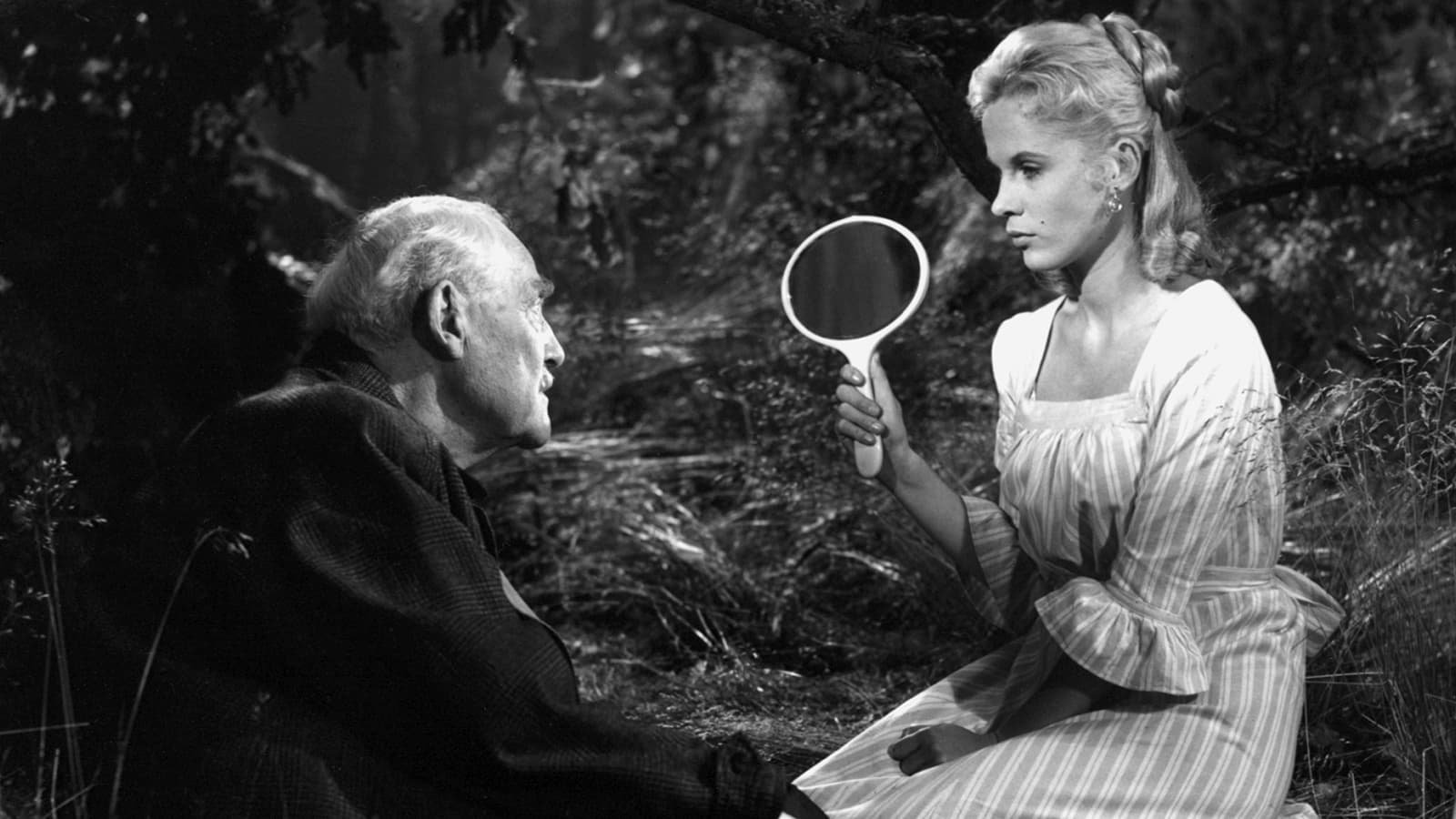 movie Wild Strawberries Image