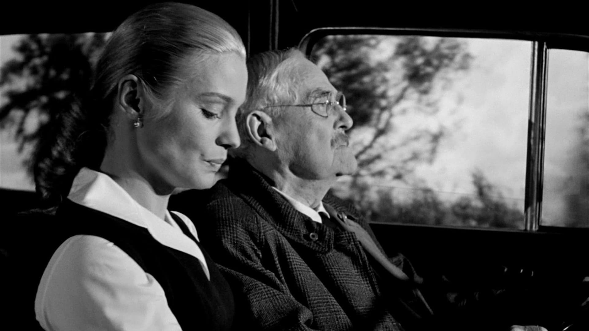 movie Wild Strawberries Image