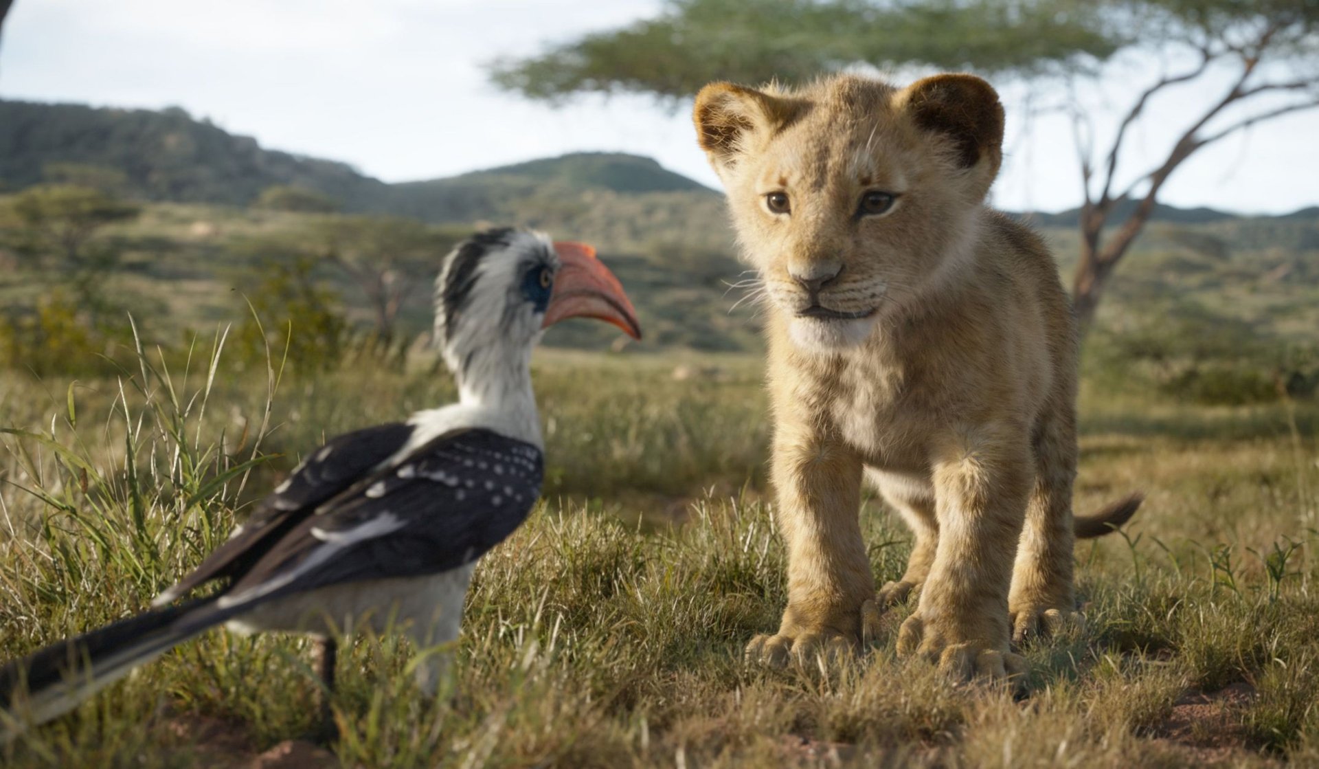 movie The Lion King (2019) Image