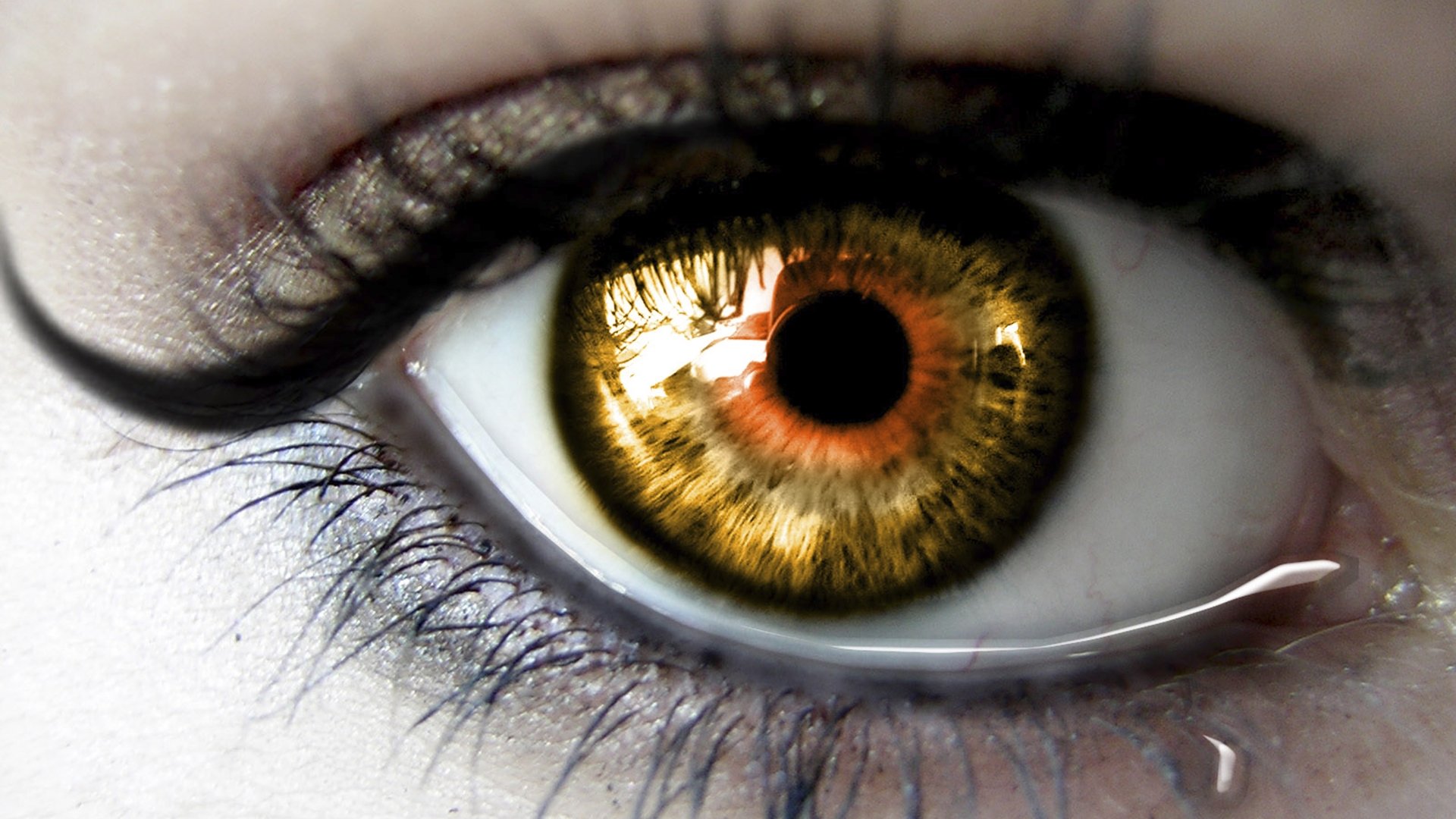 Close-up of a woman's eye with golden-brown iris and detailed eyelashes, capturing a tear at the lower lash line.