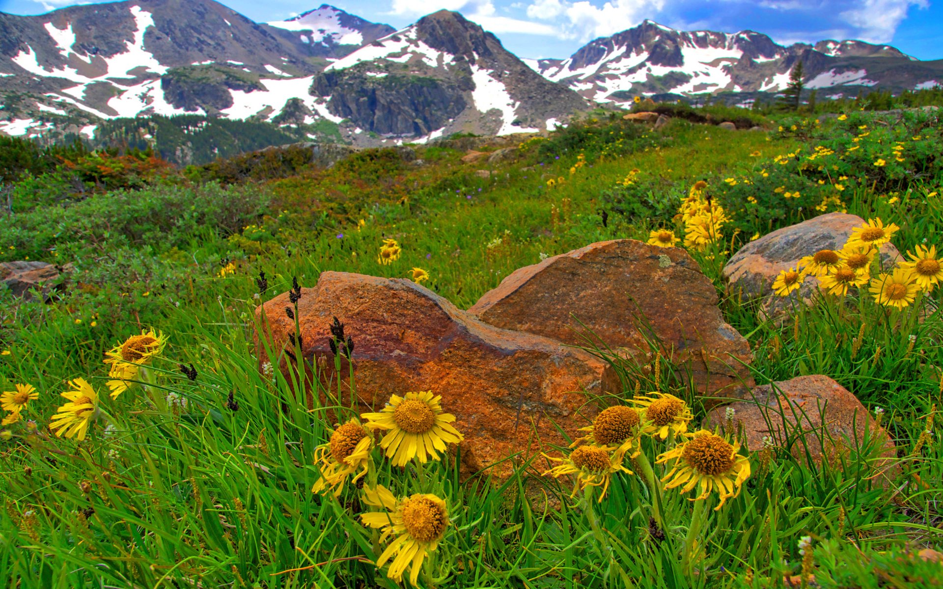  Springtime in Rocky Mountains of Colorado