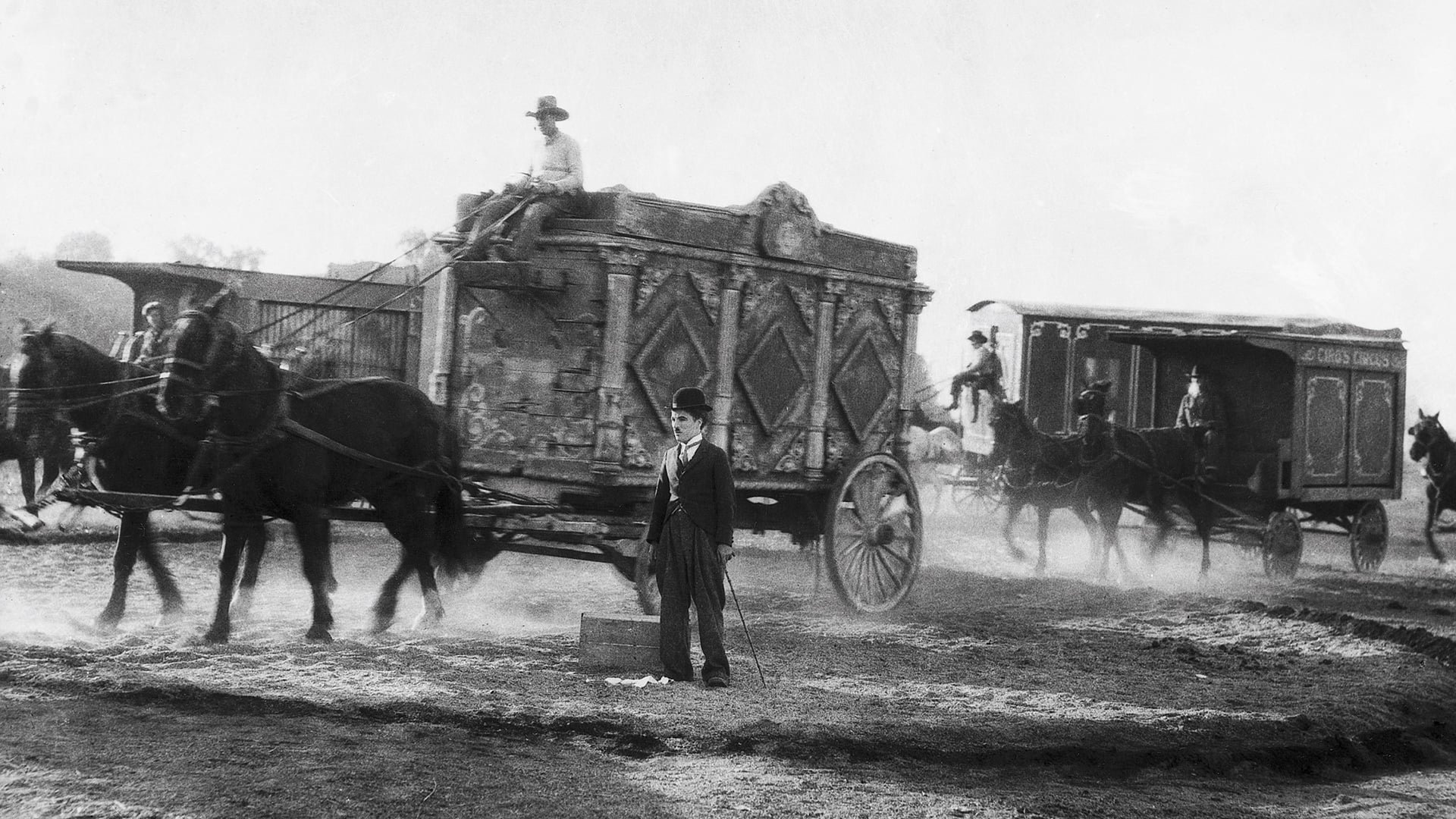 movie The Circus Image