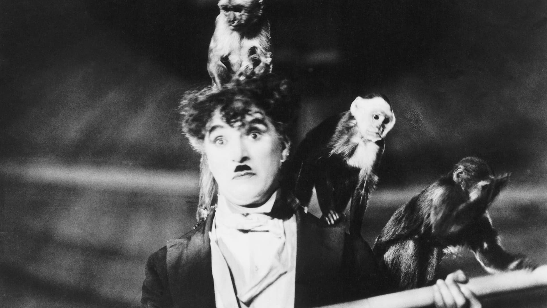 movie The Circus Image