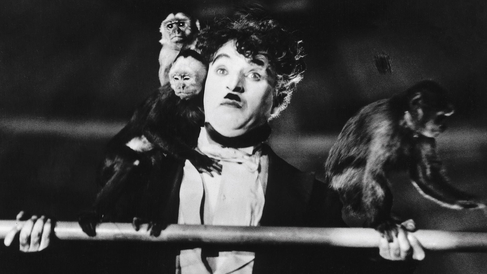 monkey Charlie Chaplin movie The Circus Image