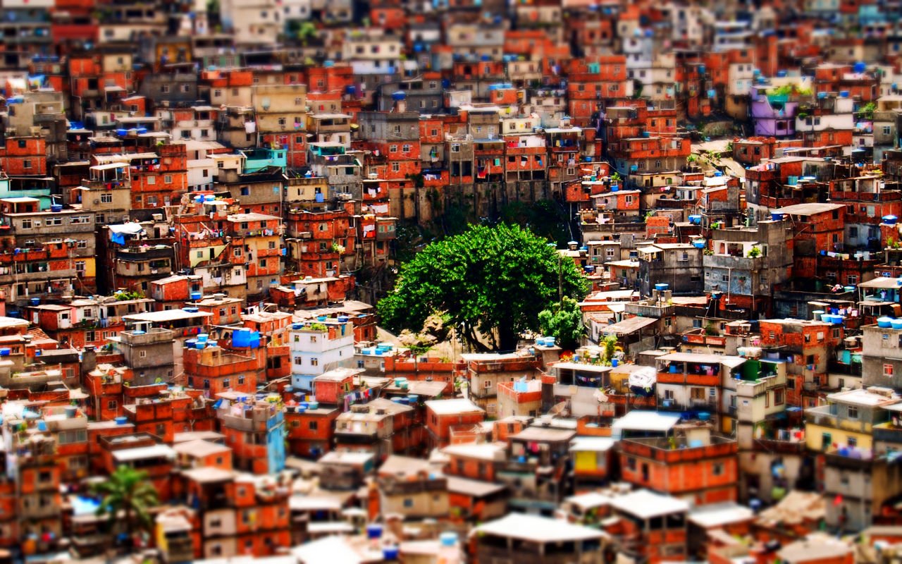 Tilt-shift photography of a dense, colorful hillside favela with a vivid green tree at the center, miniature-effect rows of tiny buildings.