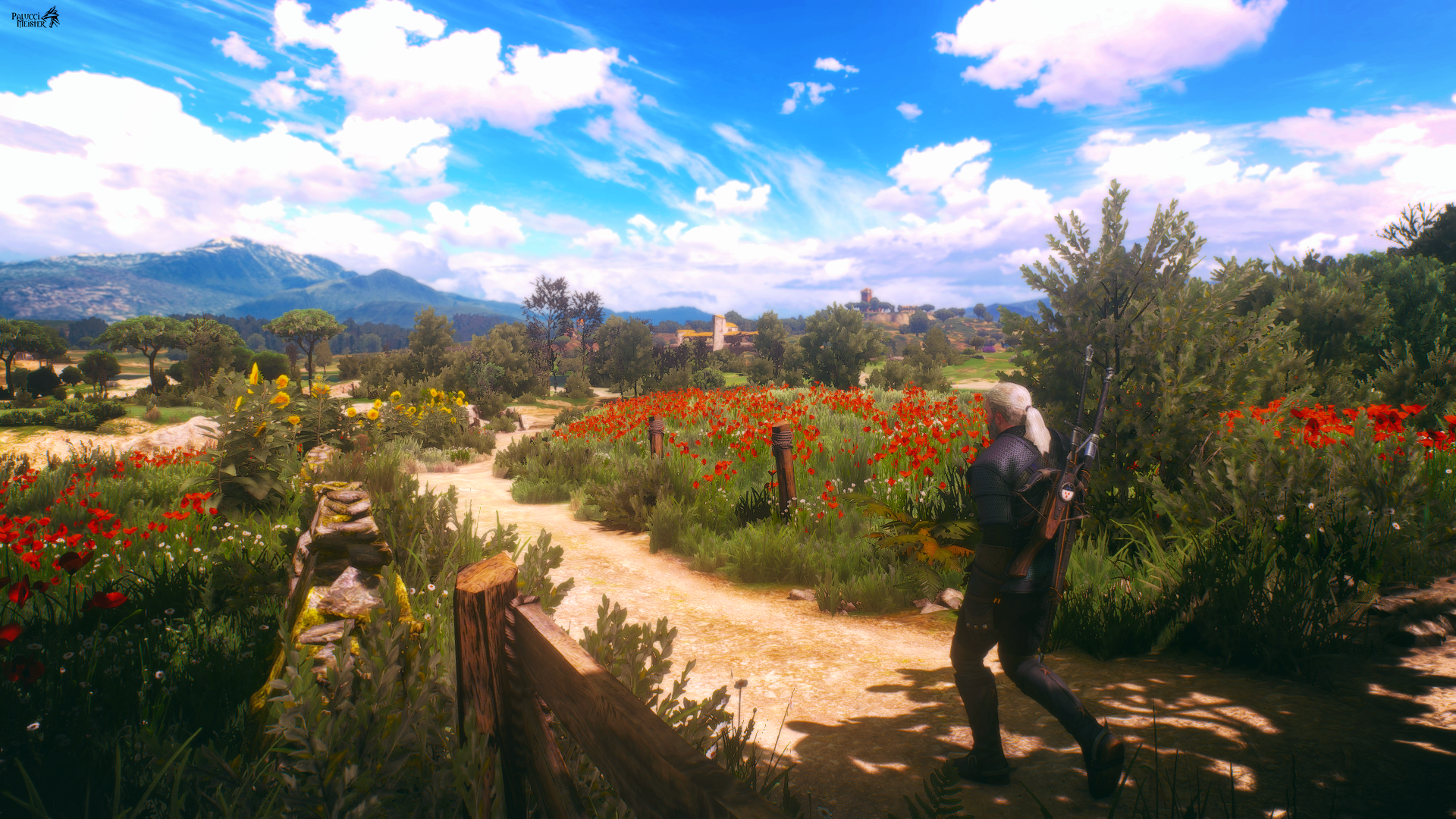 video game The Witcher 3: Wild Hunt Image