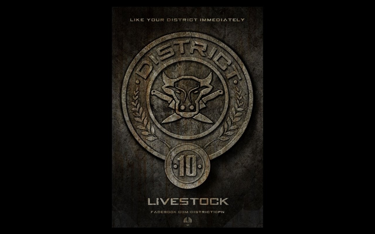movie The Hunger Games Image