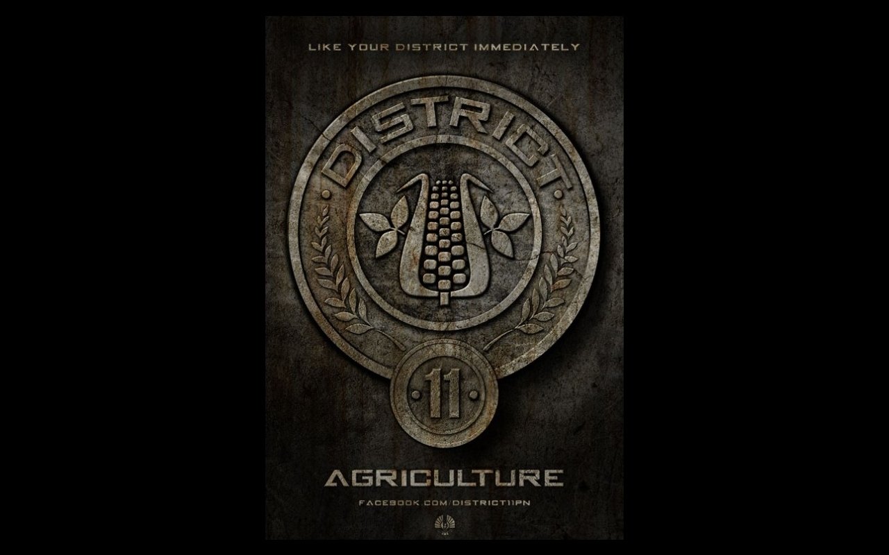 movie The Hunger Games Image