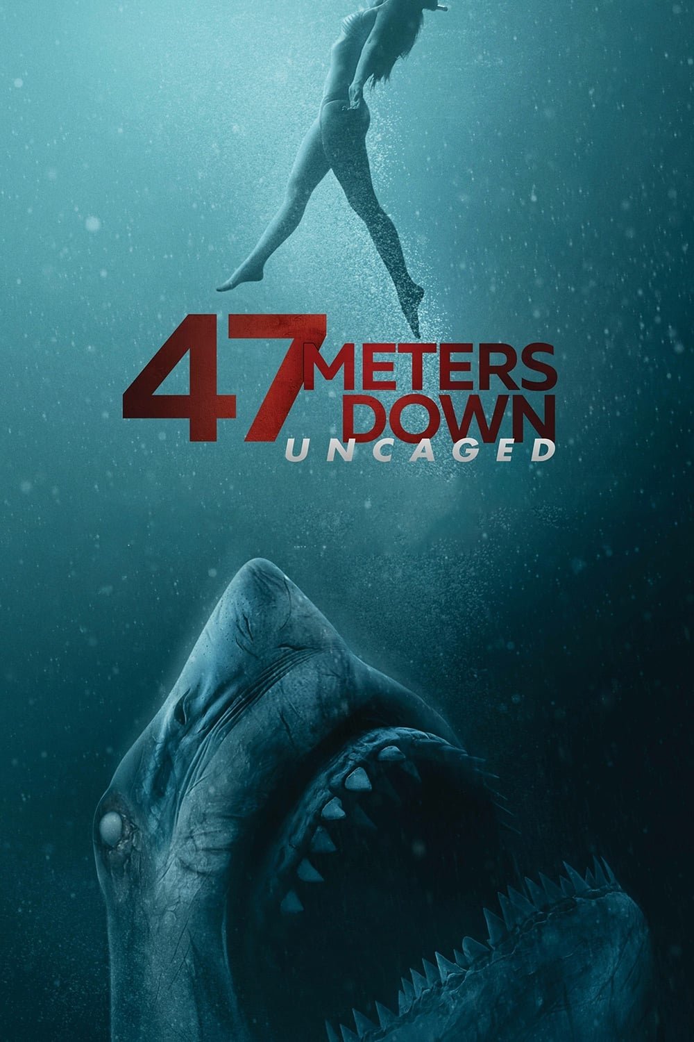 47 Meters Down Uncaged Movie Poster ID 257794 Image