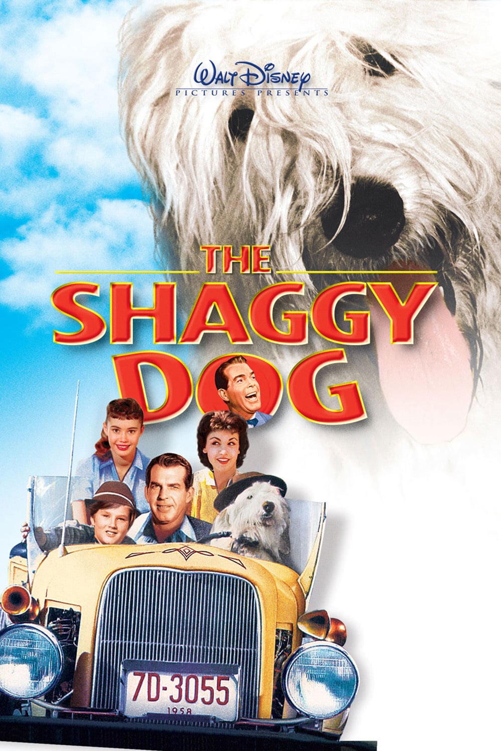 The Shaggy Dog Picture