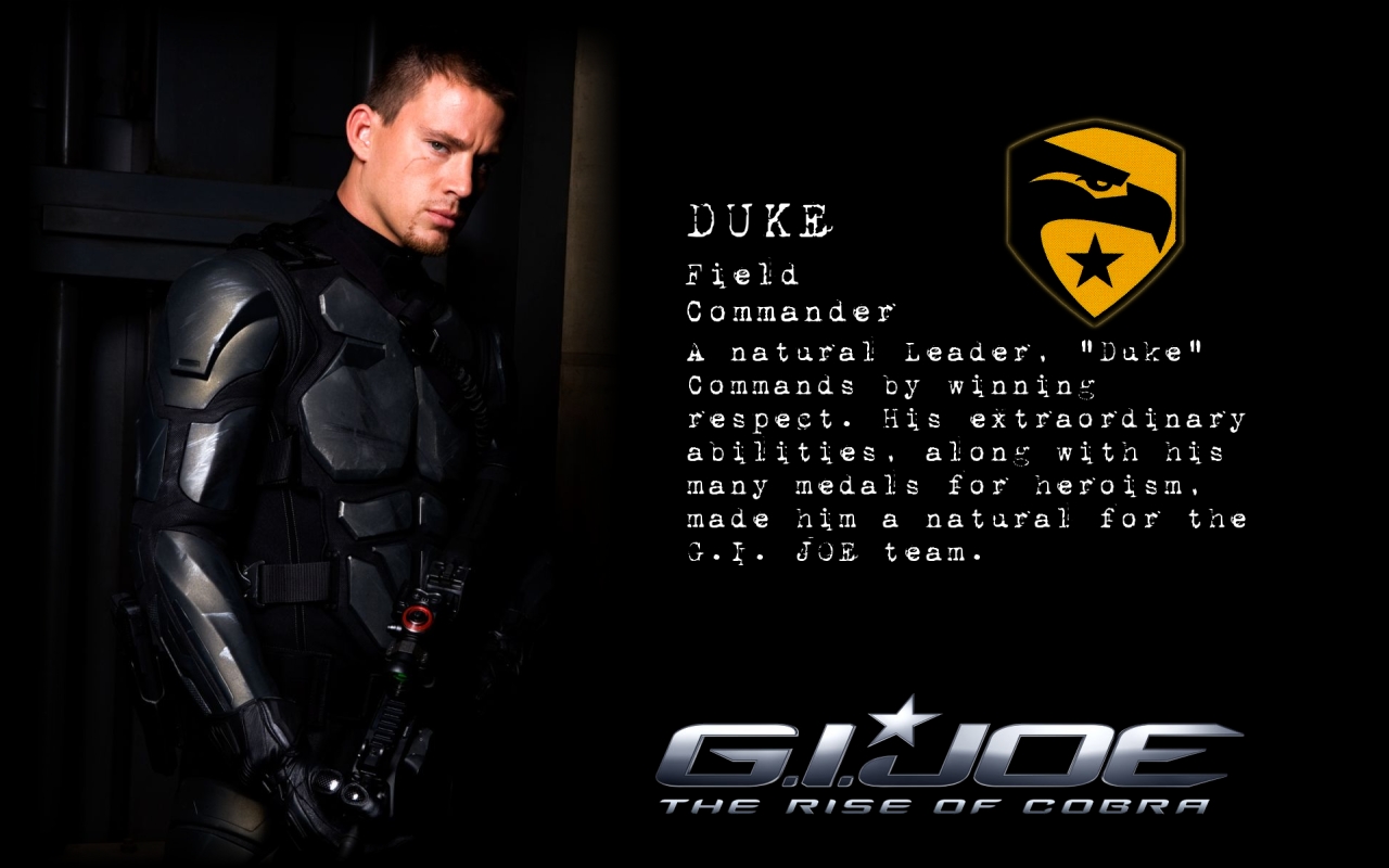 G.I. Joe: The Rise of Cobra Picture by Imandrew