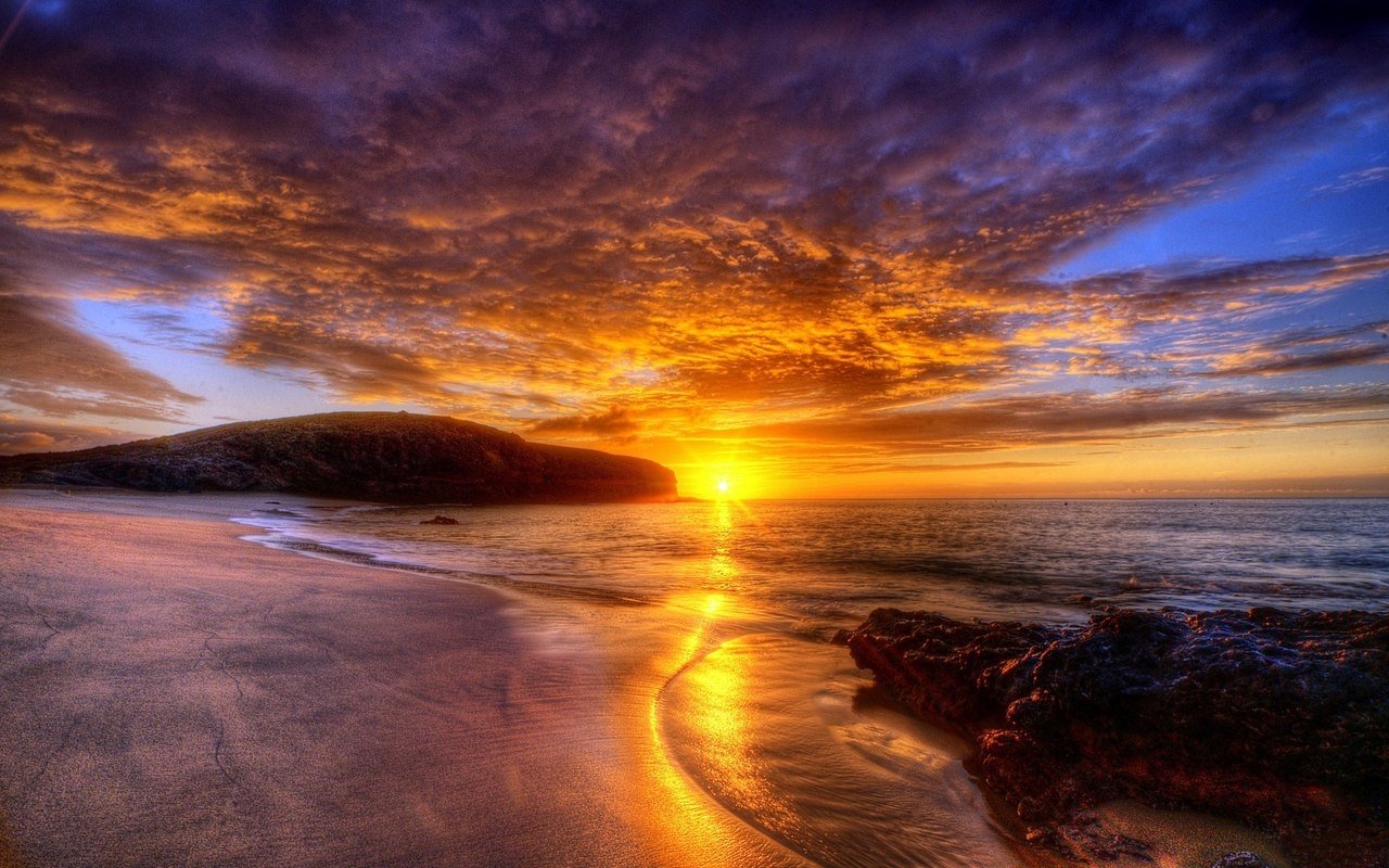 Golden Horizon: Nature's Sunset Symphony