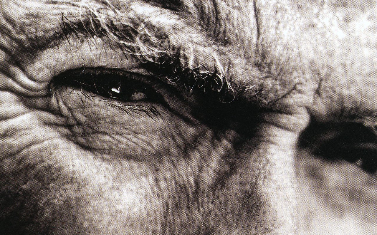 Celebrity Clint Eastwood Image