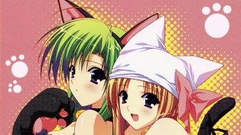 Preview Image 258555