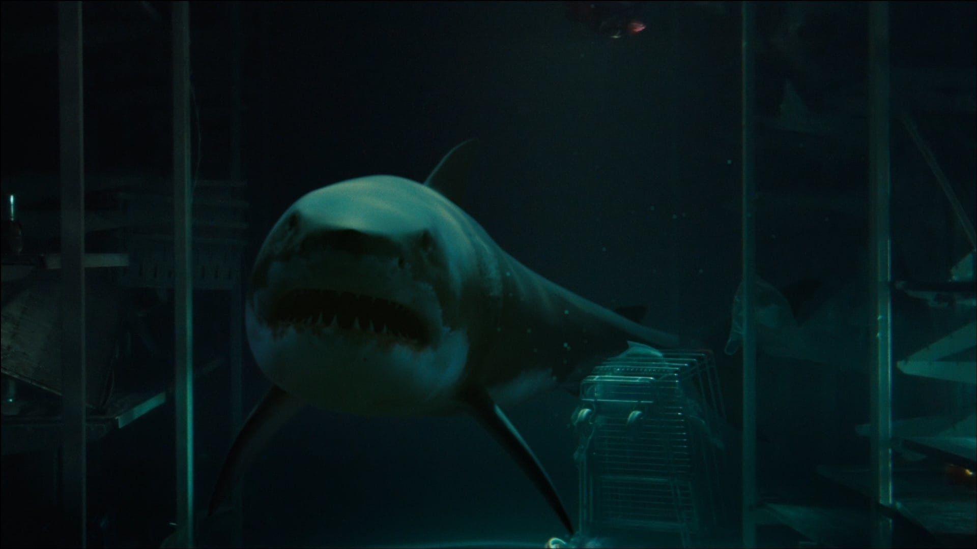 movie Bait (2012) Image