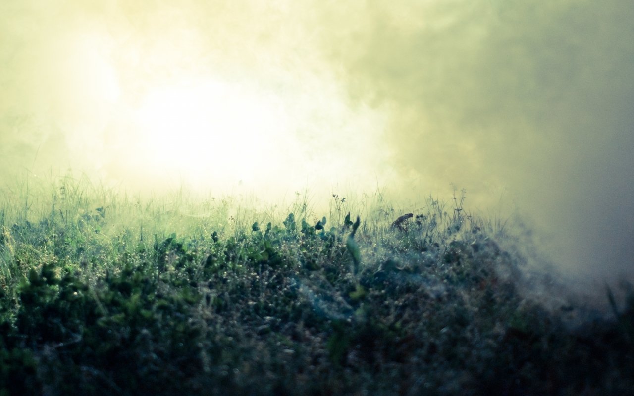Download Nature Fog Image