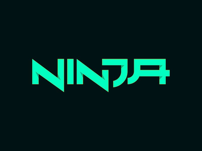  The Ninja