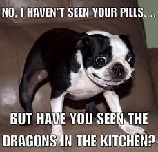 A funny dog with wide eyes jokes about missing pills and suggests looking for dragons in the kitchen, showcasing a humorous moment.