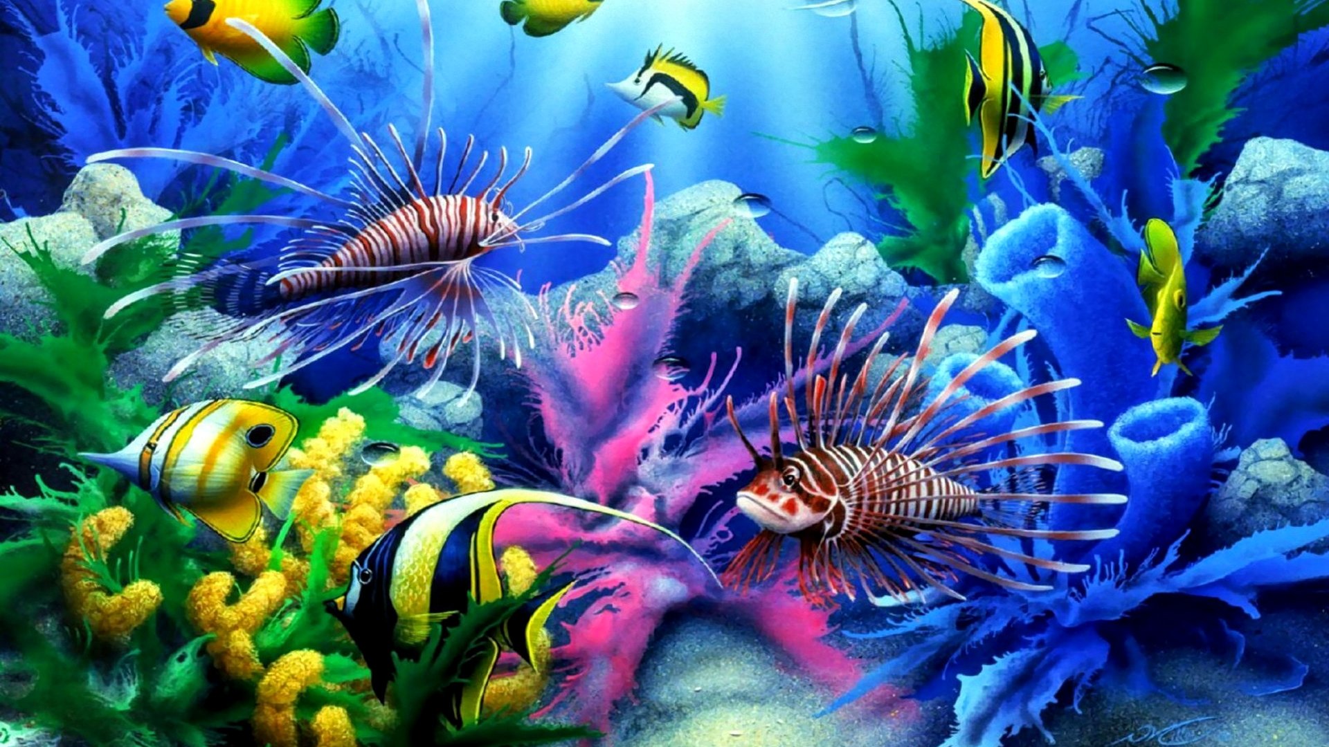  Under the Sea