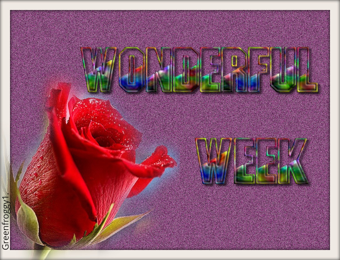 WONDERFUL WEEK by GREENFROGGY1 - Image Abyss