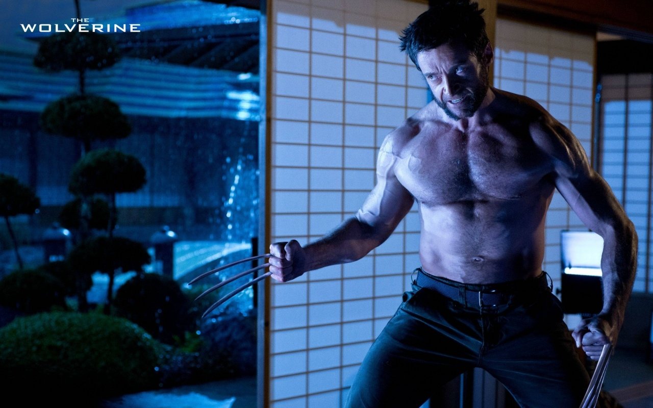 movie The Wolverine Image