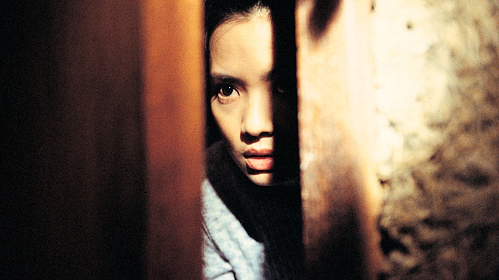movie Goodbye, Dragon Inn Image