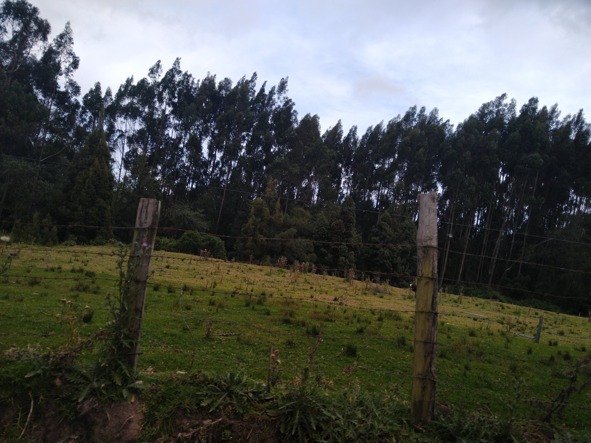 man made fence Image