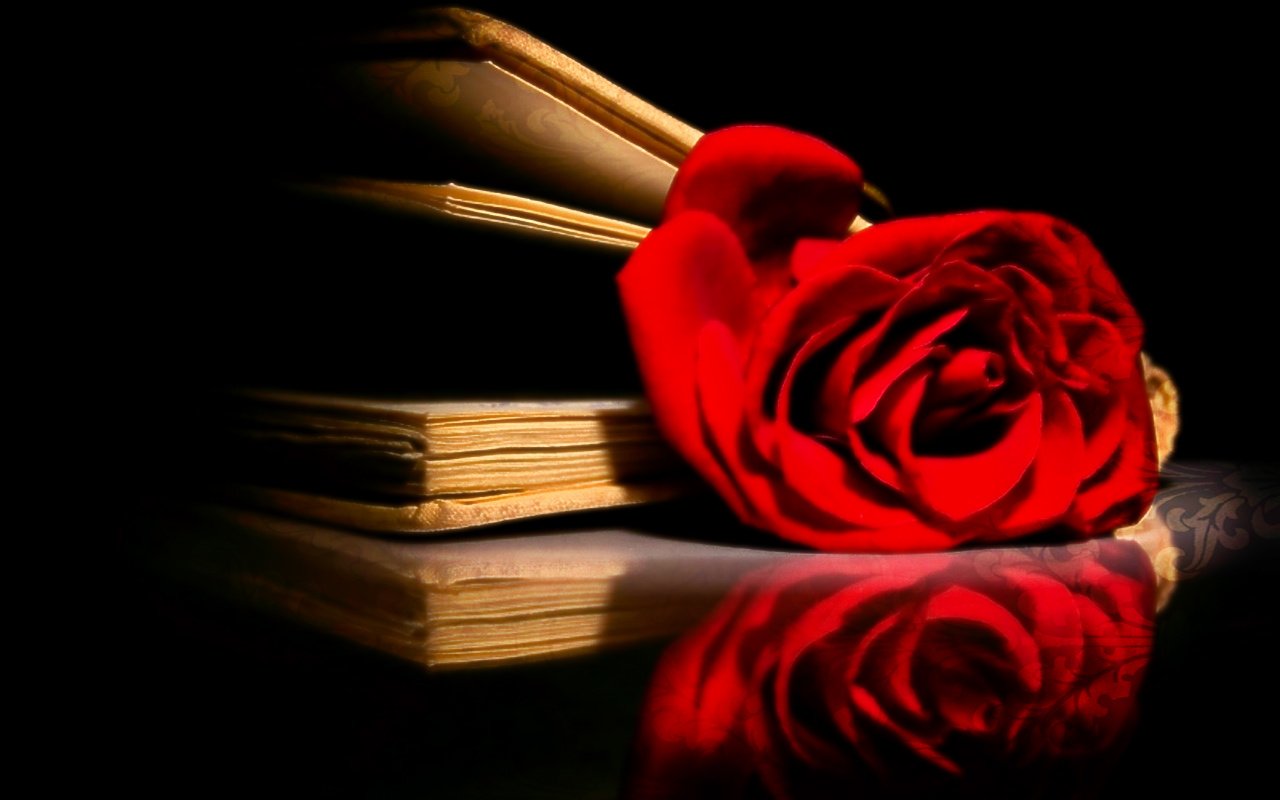 Artistic still life of a red rose resting on a stack of books, warm low-key lighting with a mirror-like reflection.