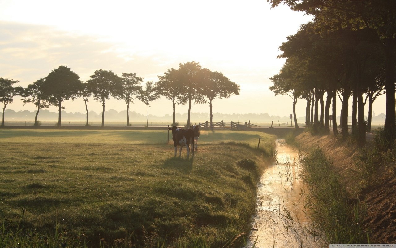  Out in the countryside