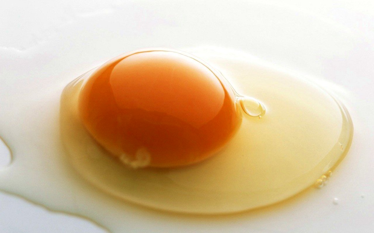 Egg Picture - Image Abyss