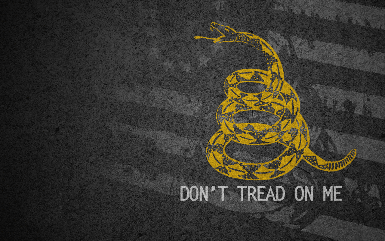 Misc gadsden flag Image