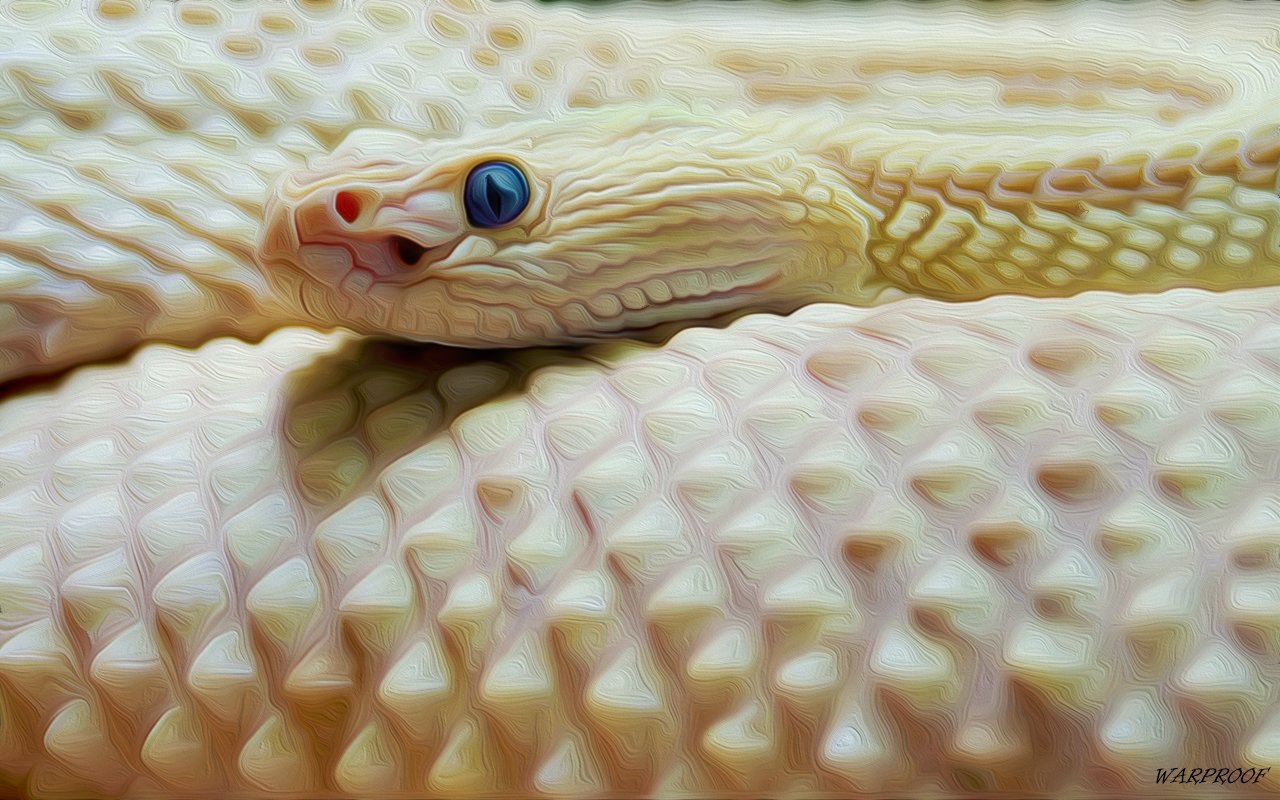 Close-up of a pale viper snake showing detailed scales and vibrant blue eye, highlighting the unique texture and colors of this animal.