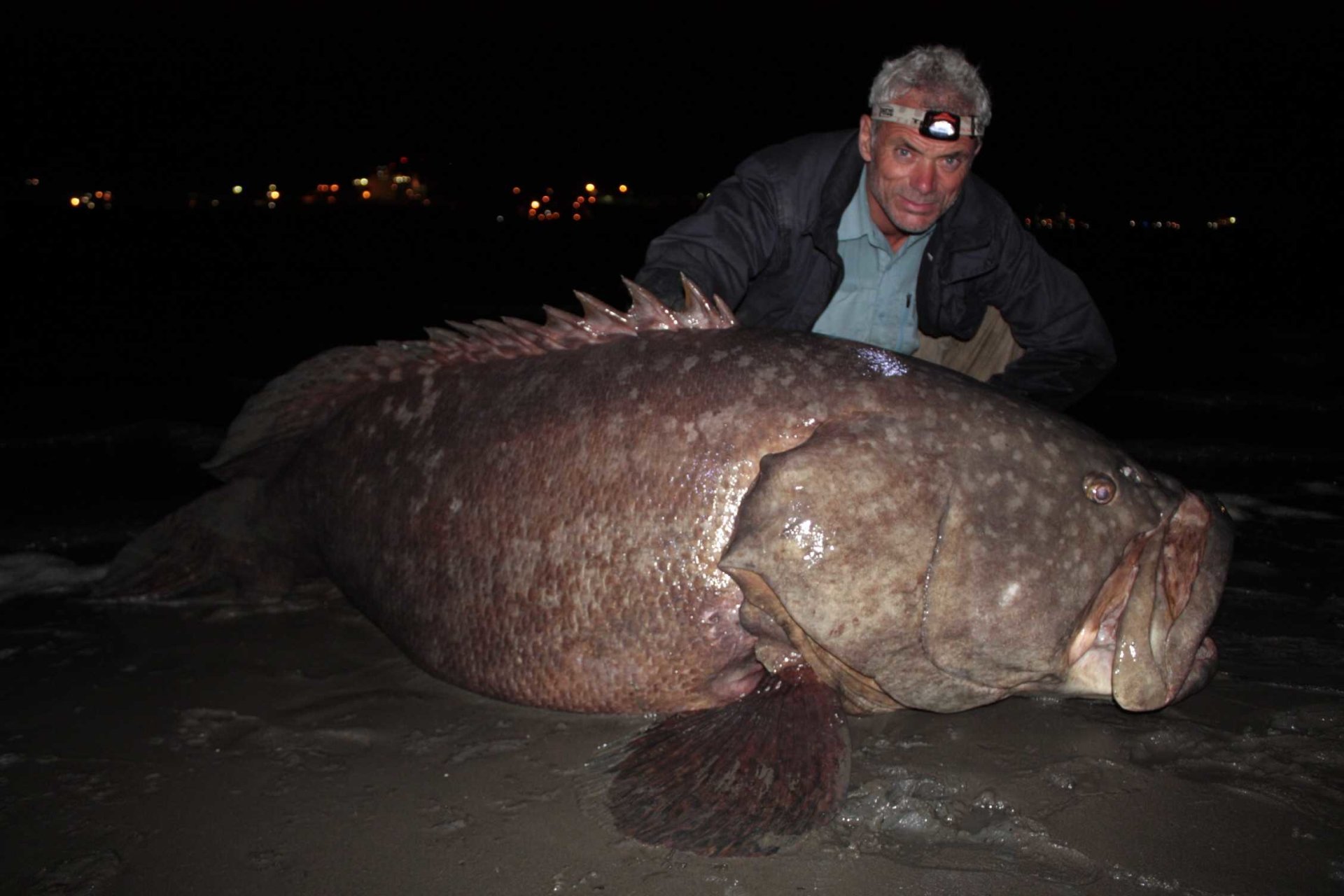 Man wearing a headlamp poses with a massive fish on a beach at night, featured in the TV show River Monsters.
