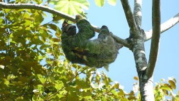 Preview Image 264405