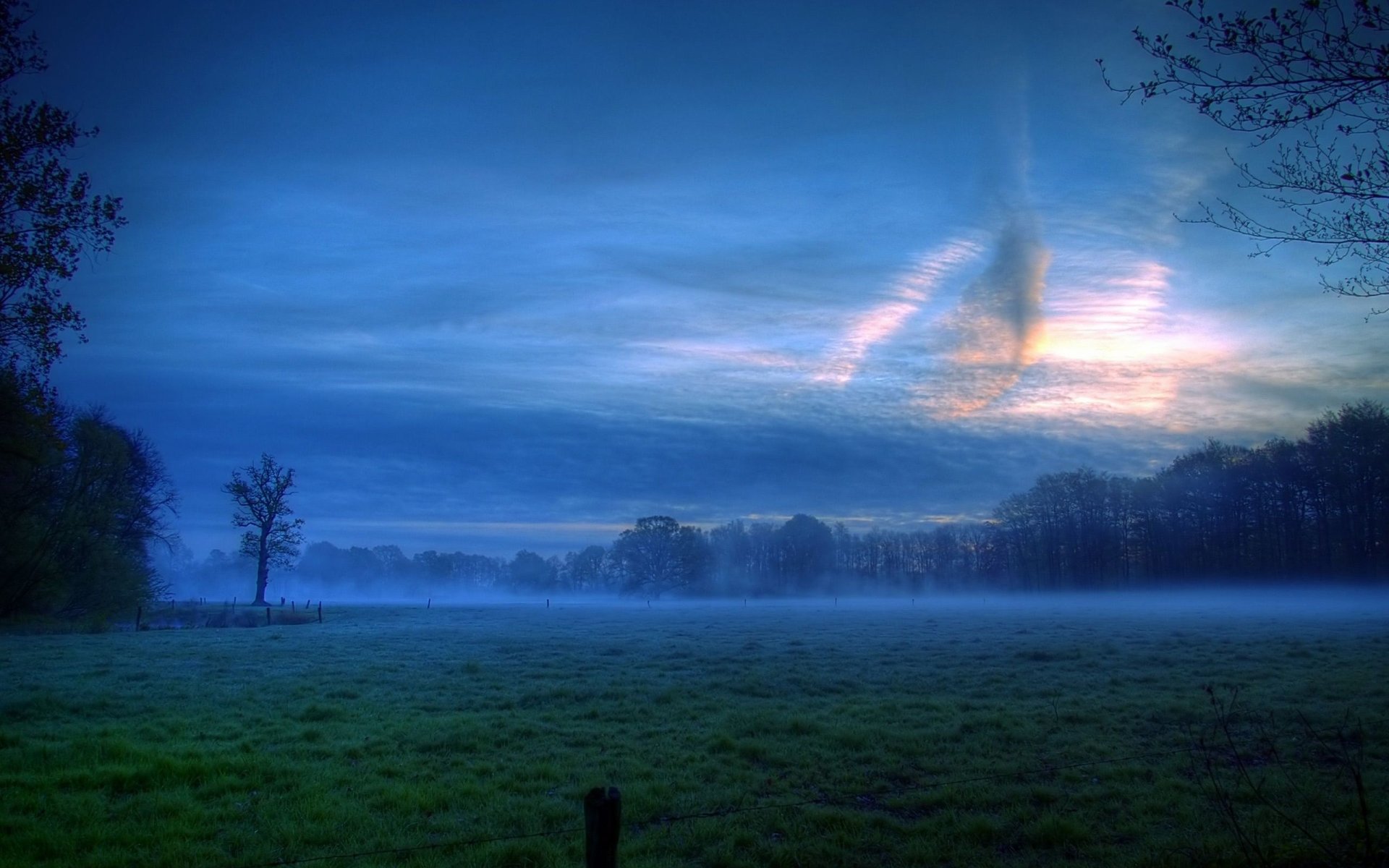 A serene sunrise over a misty field, surrounded by trees. The soft light gradually breaks through the clouds, illuminating the tranquil nature scene.