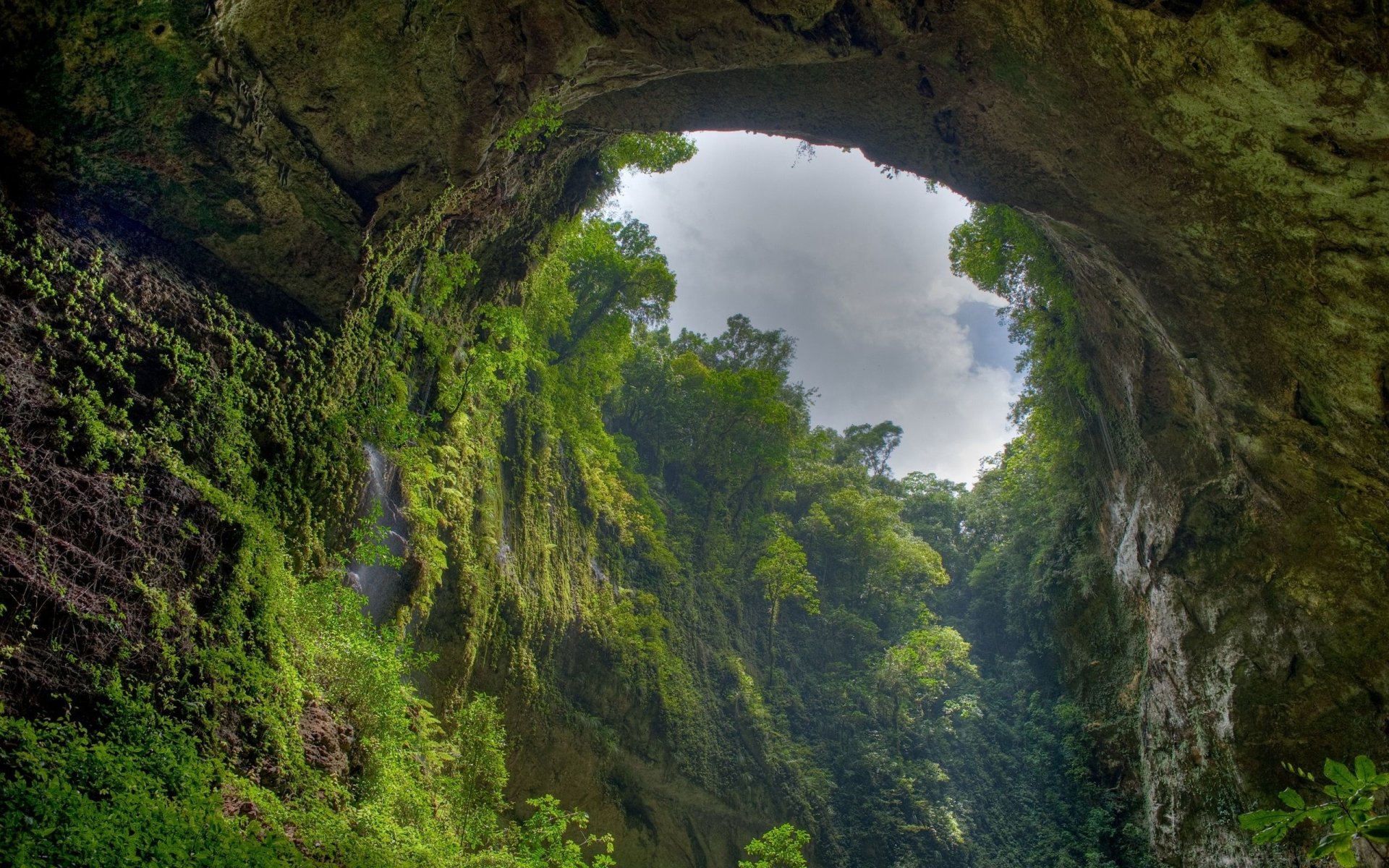 A breathtaking view of a forested canyon with lush green vegetation cascading down the rocky walls and a cloudy sky visible through an opening above.