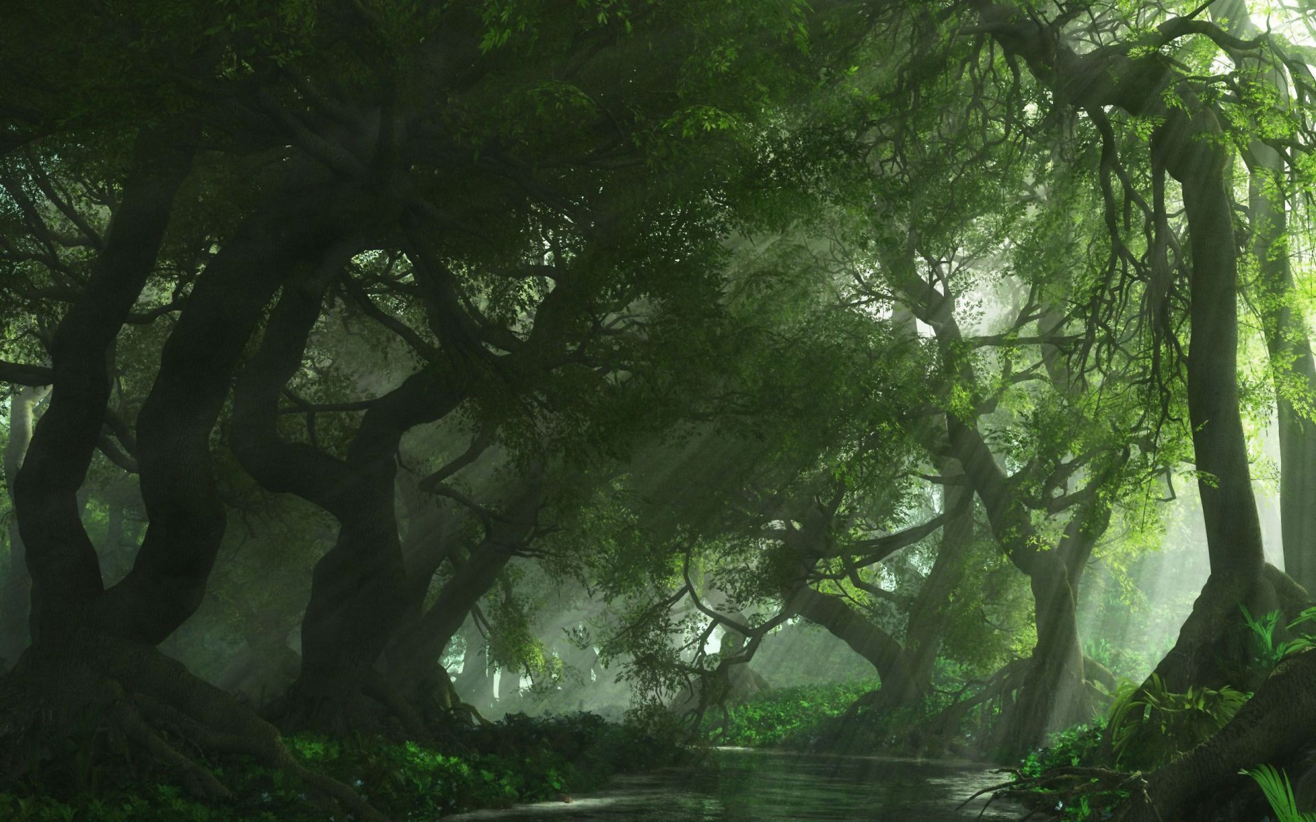 A serene forest scene featuring lush green trees arching over a tranquil stream, illuminated by gentle rays of light filtering through the canopy.