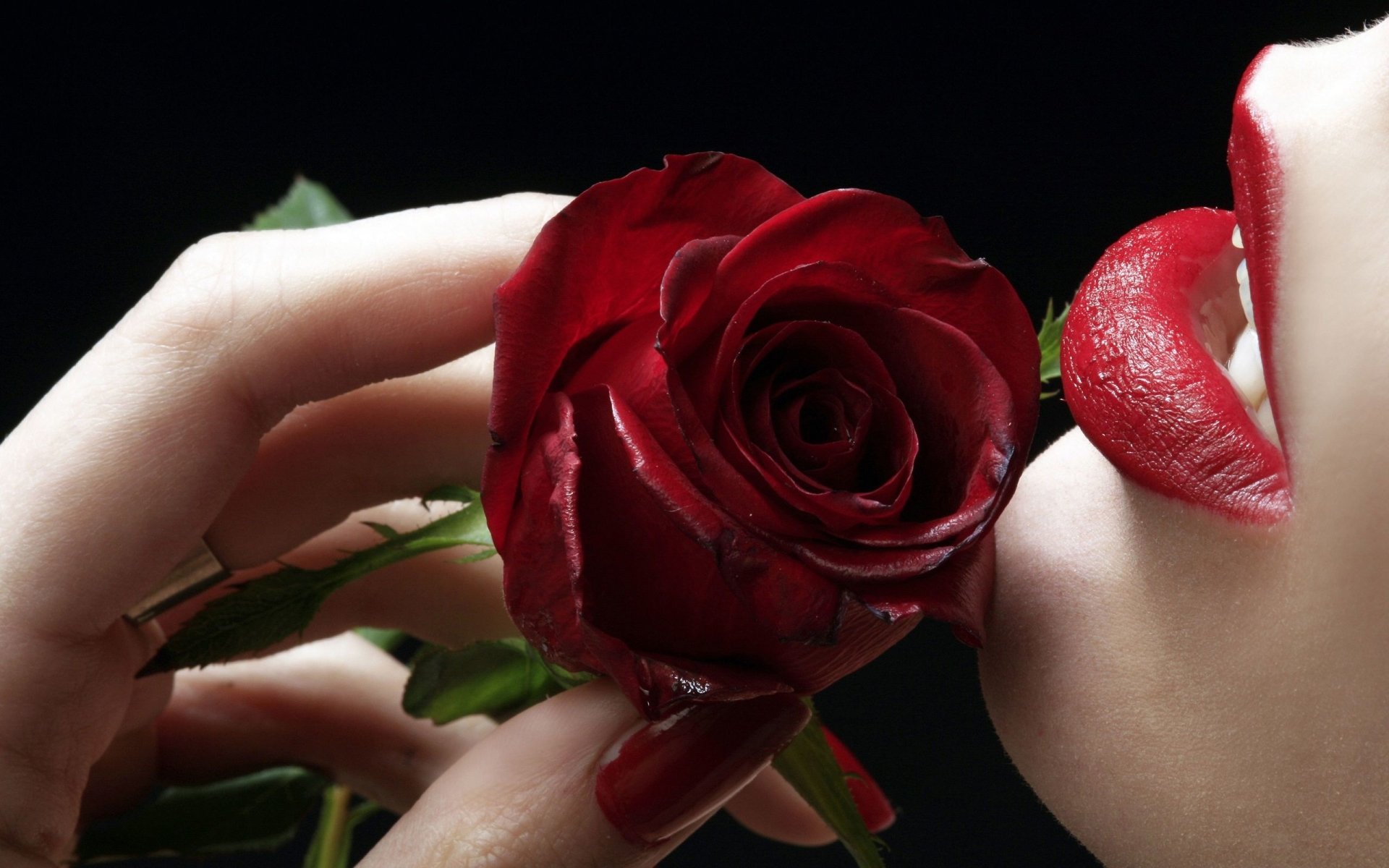 A close-up of a hand holding a vibrant red rose near a woman's lips, accentuating the beauty of nature and the elegance of the flower.