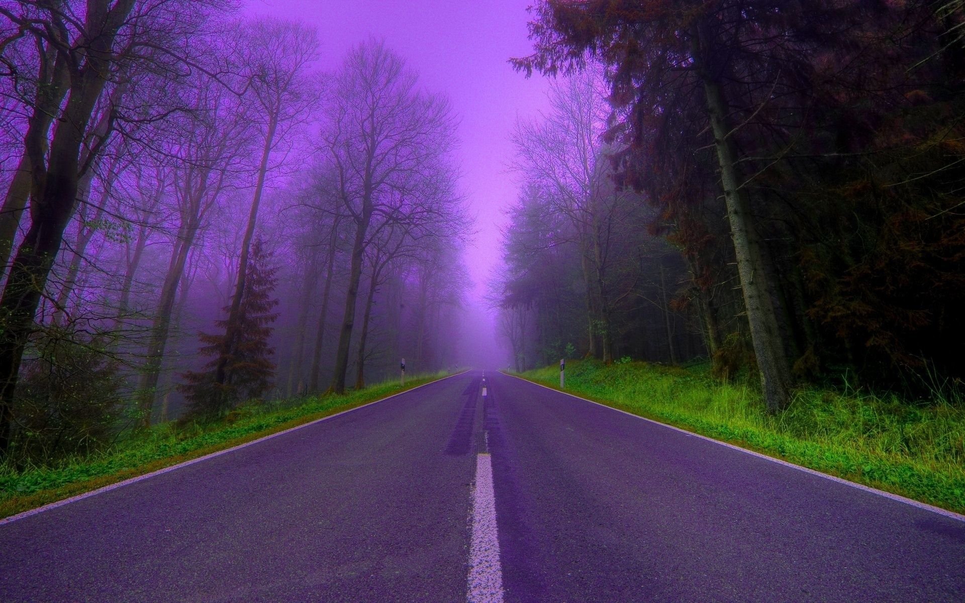 A serene road winds through a misty landscape, flanked by bare trees and vibrant green grass, enveloped in a mysterious purple haze. The scene captures a tranquil, man-made path in nature.