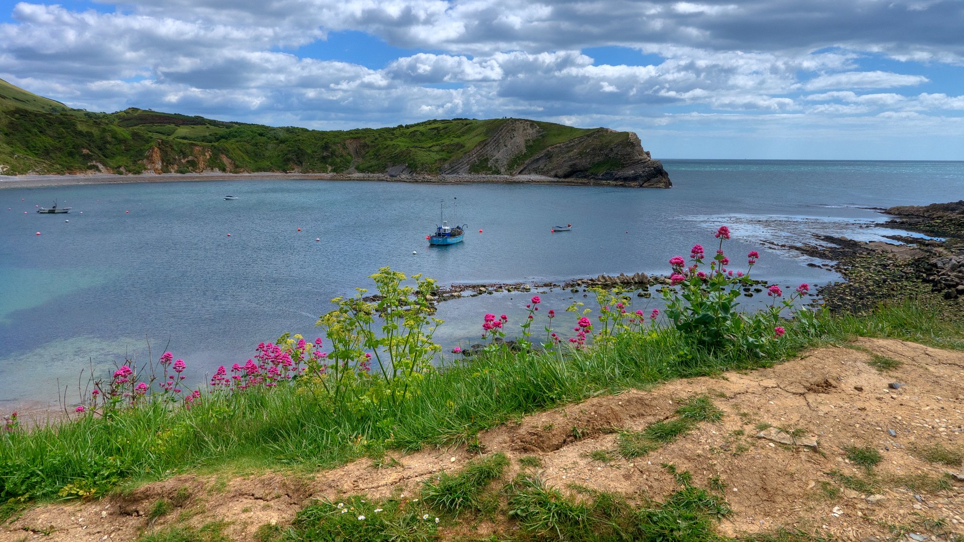 Nature seascape: calm bay with anchored boats, pink wildflowers on a grassy headland and rocky cliffs under a blue sky.