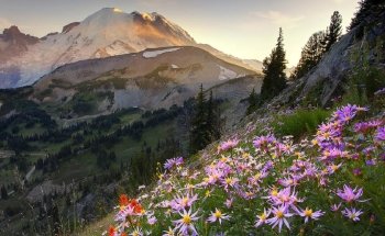 Preview Mountains