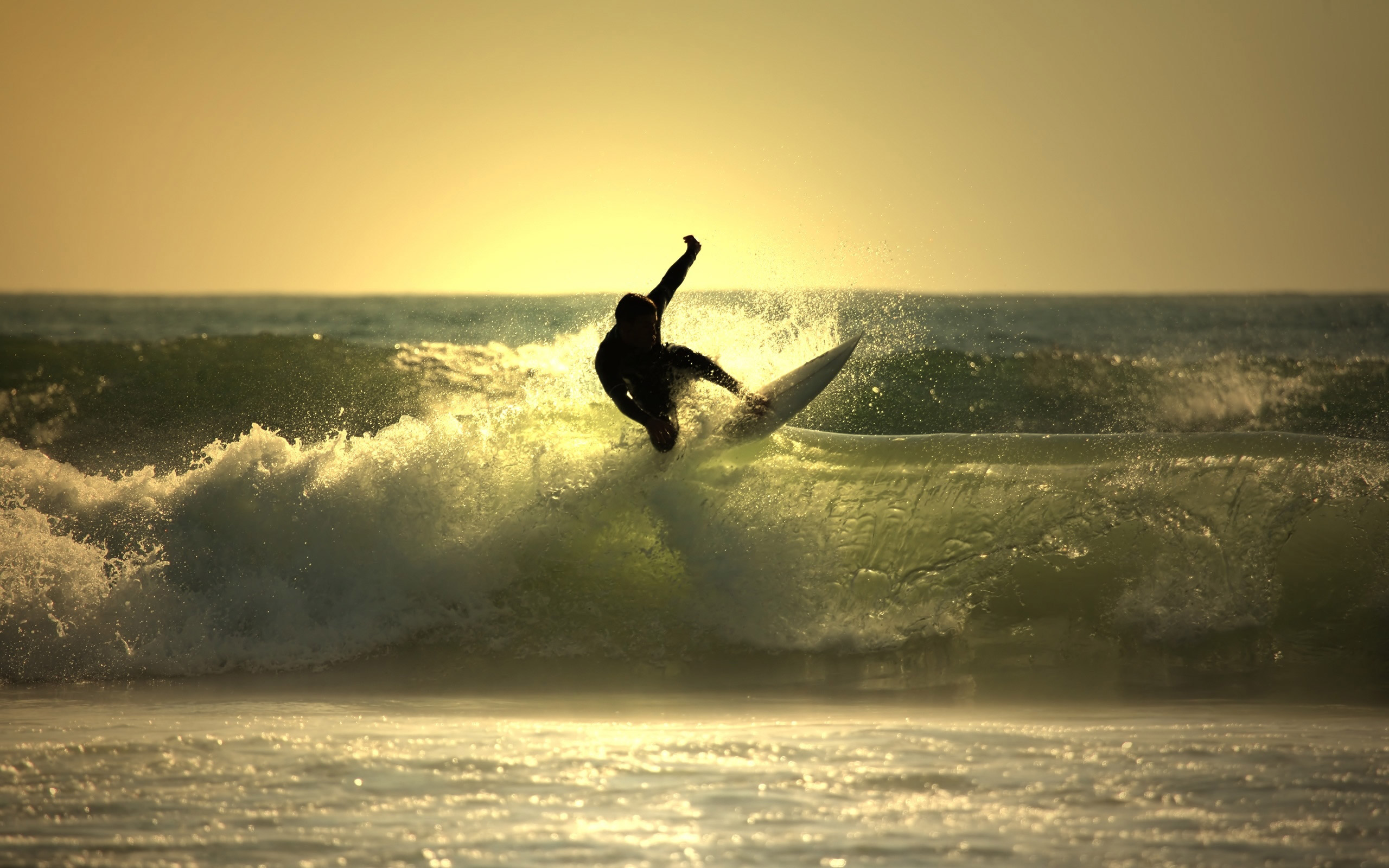 Surfing Picture