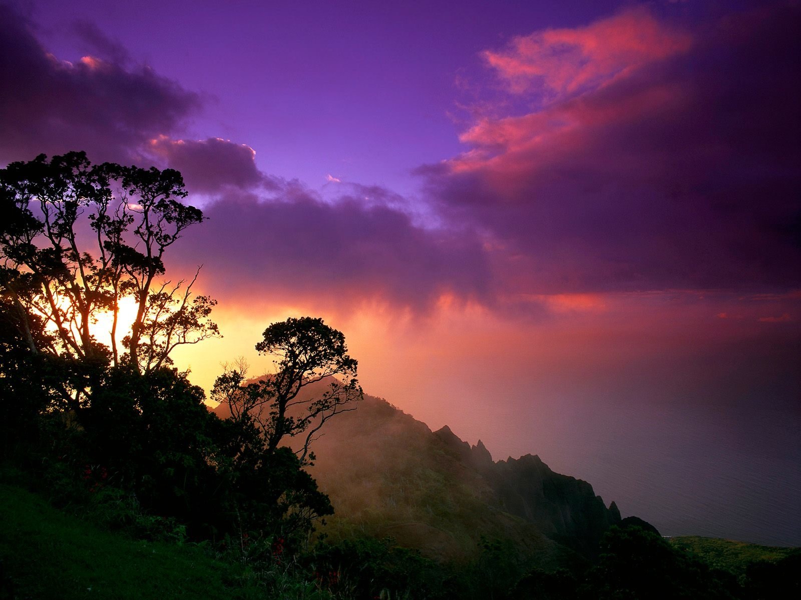 A vibrant sunset casts purple and orange hues over a misty mountainous landscape with silhouetted trees in the foreground, showcasing the beauty of nature.