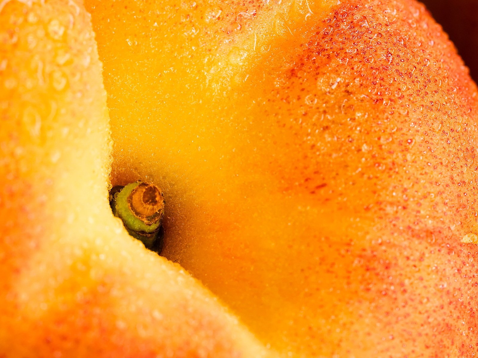 dew fruit food peach Image