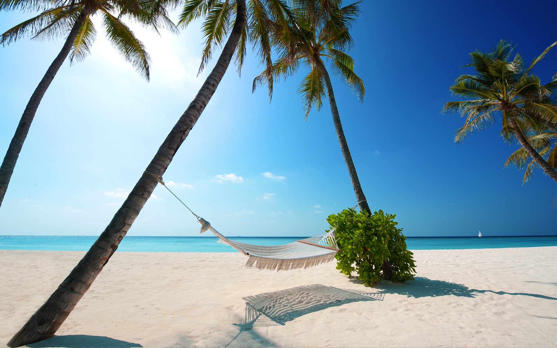 A serene beach scene features a hammock strung between palm trees, inviting relaxation against the backdrop of a clear blue sky and calm ocean waters.