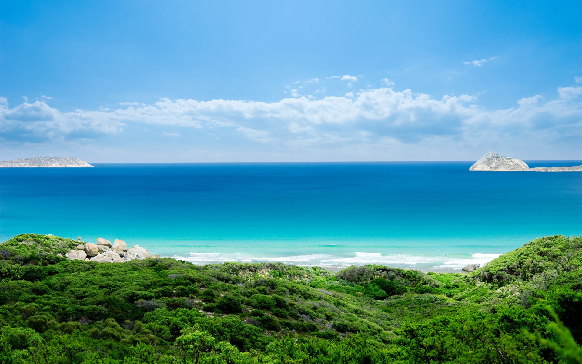 A vibrant nature scene showcasing lush greenery in the foreground and a tranquil blue seascape under a partly cloudy sky.
